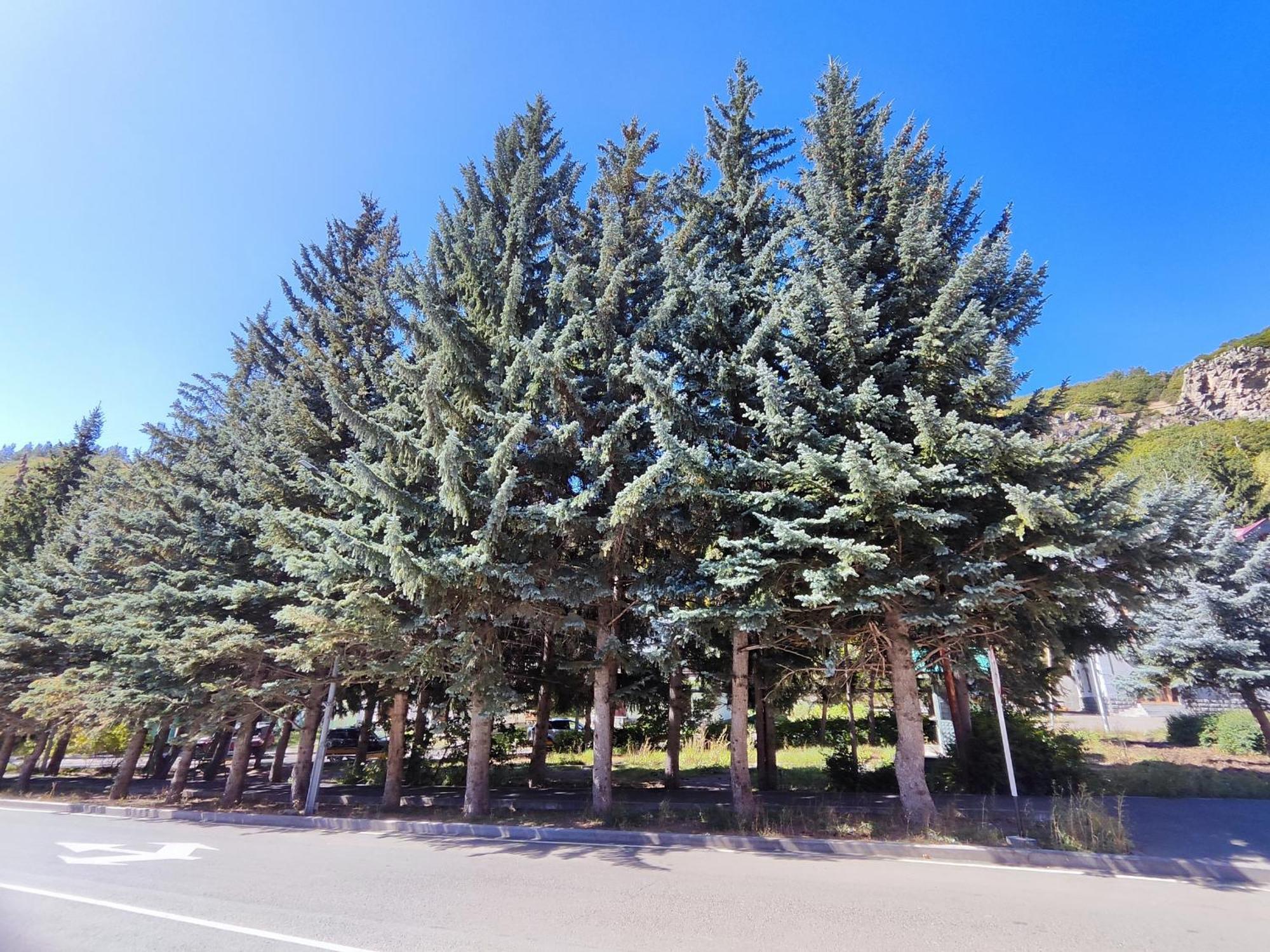 Jermuk Mini Apartment 외부 사진